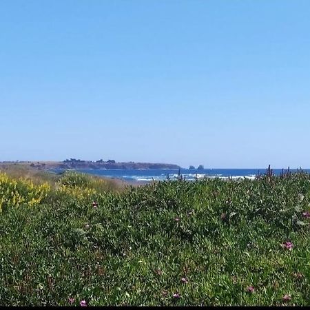 Saldemar Playa Hermosa Pichilemu Exteriör bild