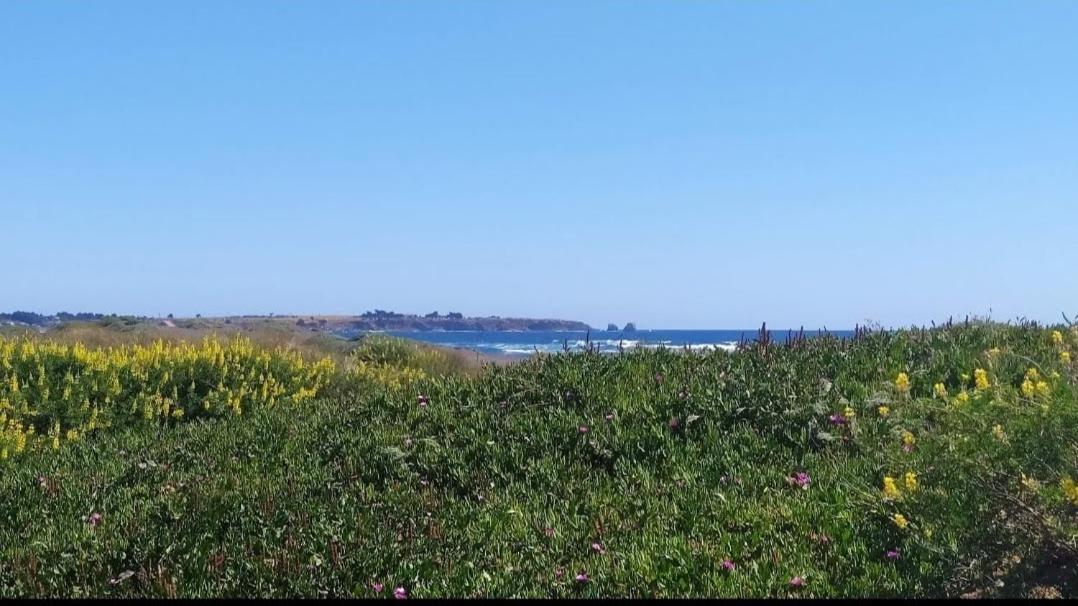 Saldemar Playa Hermosa Pichilemu Exteriör bild